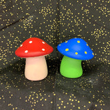 Mushrooms DIY Kit